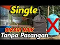 Download Lagu SANGAT MUDAH ‼️ Menaikan Birahi Burung Prenjak Tanpa Pasangan