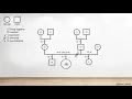 How to draw a genogram