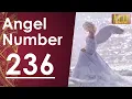 Meaning Of Angel Number236 Universe Message Angel Guidance 1111 Universe