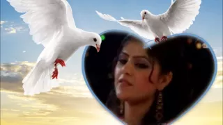 Bilal Akabri New Song Nesar Jan 2012 