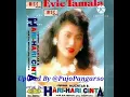 Lagu Evie Tamala ~ Hari Hari Cinta { Album Hari Hari Cinta 1990 }