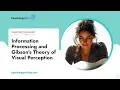 Information Processing and Gibson s Theory of Visual Perception - Essay Example