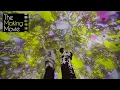 Download Lagu Making of「星合」