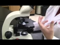 Introduction to the Light Microscope