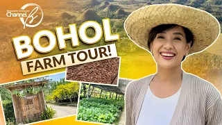 What I Discovered In Bohol's Beautiful Farms | Bernadette Sembrano