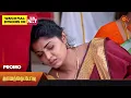 Download Lagu Vanathai Pola - Promo | 24 October 2023 | Sun TV Serial | Tamil Serial