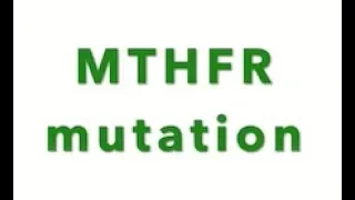 Download MTHFR MP3