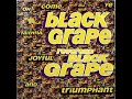 Black Grape - Reverend Black Grape