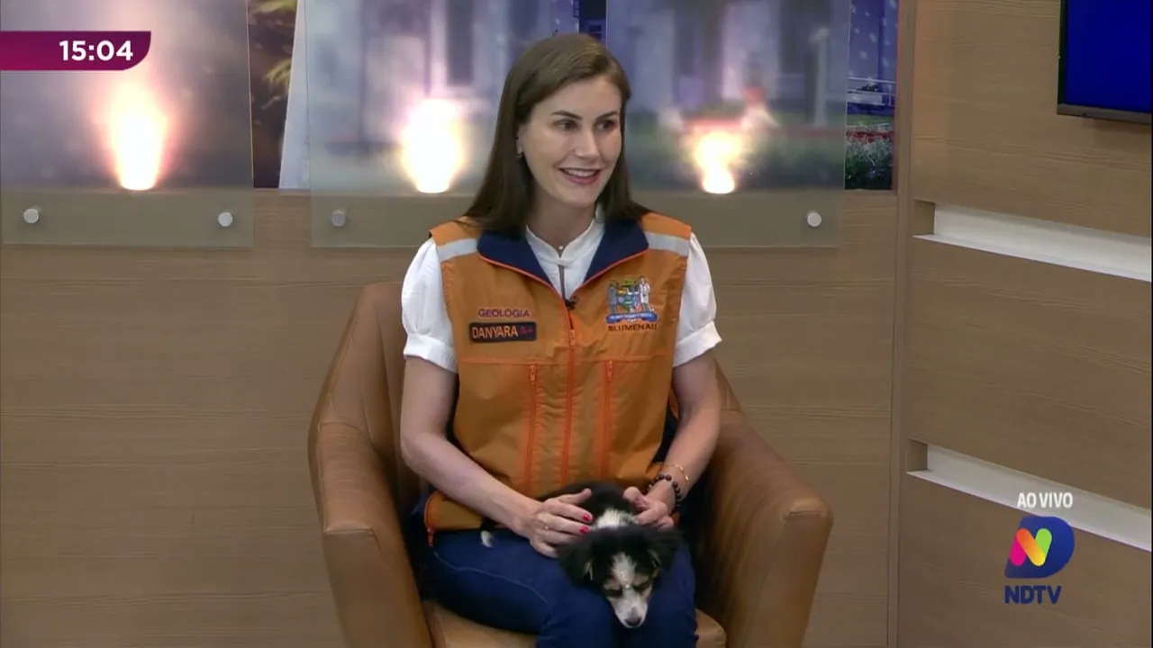 Conheça a Amora: nova mascote da Defesa Civil de Blumenau