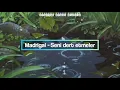 Madrigal - Seni Dert Etmeler | Lyrics