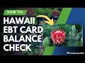 Hawaii EBT Balance Check Instructions