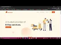 3-Web based E-Visa Processing System Final Project Overview