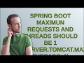 Spring Boot Maximun Requests and Threads should be 1 server tomcat max-threads 1