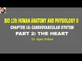 BIO 139 CHAPTER 15 PART 2 THE HEART