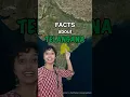 Lagu Unbelievable facts about Telangana!! ๐ฑ #telangana #hyderabad #shortsindia