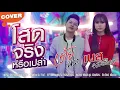 โสดจริงหรือเปล่า:วงแทมมะริน Feat : กุ้ง นนทิยา บุตรวัง| Cover BY เต้ย นรา Feat เนส พรอำนาจ