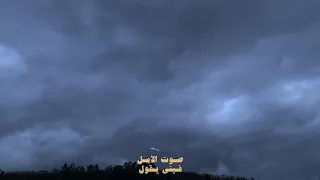 لو تقتحمني عاصفة وتزلزل اركاني رياح صوت الأمل فيتي يكول ان العواصف بتهدا دندنها
