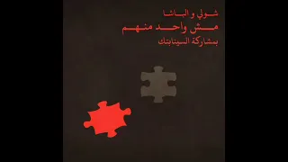 مش واحد منهم شولي الباشا 