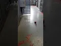 REM pod activity at Haunted Old Lavaca County Jail