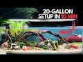 Complete 20-Gallon Aquarium Setup Guide for New Fish Keepers