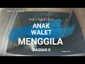 Download Lagu Anak Walet 2021 Walet Muda Terpikat Suara Ini...