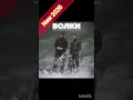 Руслан Добрый & Tural Everest - Волки, NEW KARAOKE MINUS MUSIC 2026.