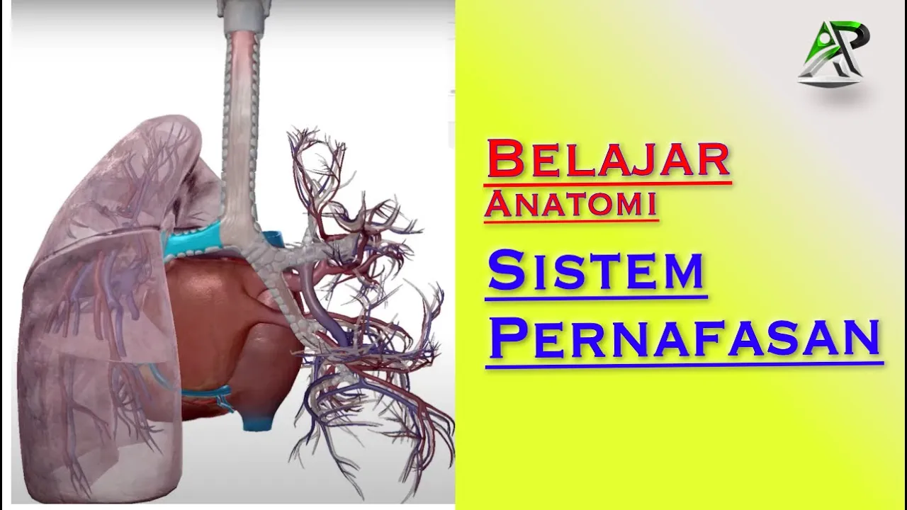 Keterampilan Klinis | Pemeriksaan Tenggorok Fakultas Kedokteran Universitas Andalas.. 