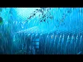 Download Lagu Relax and Fall into Deep Sleep in a Cozy Cabin with Heavy Rain \u0026 Powerful Thunder on a Tin Roof