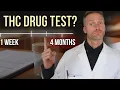 Drug Test Coming Up How Long THC Stays in Your System 2026