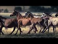 Chitãozinho e   Xororó  - Caboclo na Cidade
