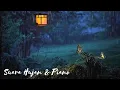 Download Lagu Suara Hujan dan Piano Untuk Tidur (dijamin langsung tidur) Musik Relaksasi