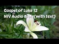 Luke 12 NIV Bible with text