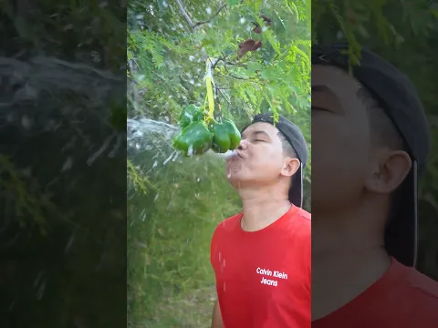 Outdoorfood Wow Mouthwartering Fruit in forest SIMPLE but FUN #viral #survival #short #camping
