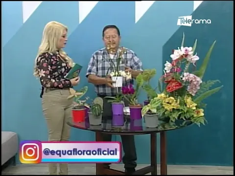 Cuidados de Orquídeas