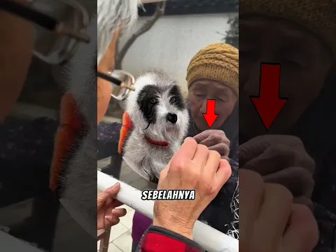 Karya Seni Sulam Terbaik Di Dunia! 😲