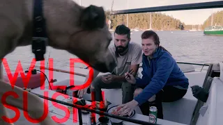 Wild Caught Sushi – Sink or Swim 186