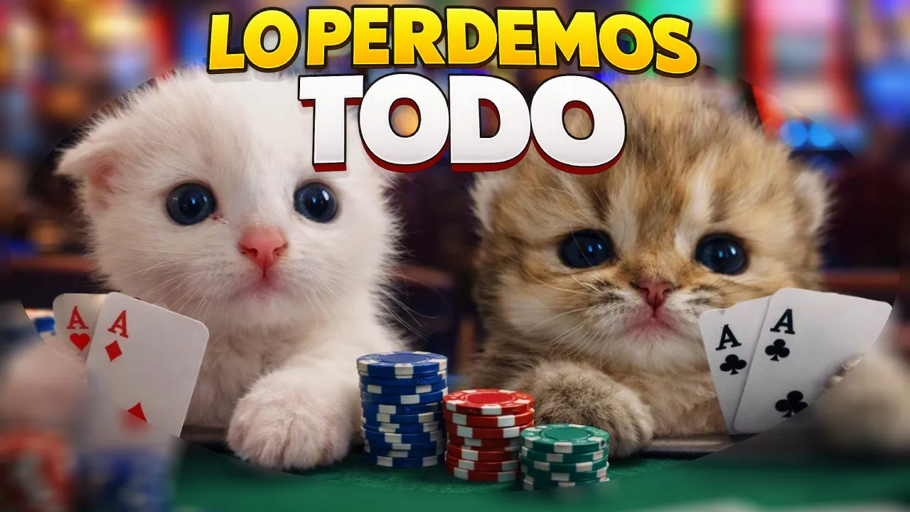 PERDEMOS TODO con LOS MICHIS | Gamble With Your Friends