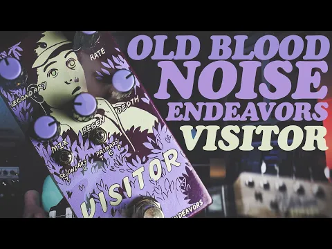 楽器・機材 Old Blood Noise Endeavors VISITOR グラニュラー