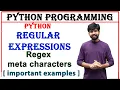 meta characters in regular expressions regex meta characters python programming regex in python