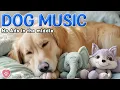 Download Lagu 20 Hours of Calming Dog Music🦮💖Soft Relaxing Music for Dogs🎵🦮Helps Ease Separation Anxiety, Dog TV