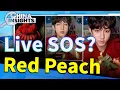 Download Lagu SOS on Livestream? Five Red Peaches, One Warning132