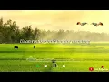 Download Lagu Safira Inema - Sayang Kowe \