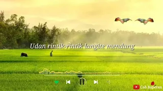 Download Safira Inema - Sayang Kowe \ MP3