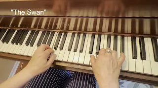 The Swan From Carnival Of The Animals By Camille Saint Saens Section Classics Level 2 