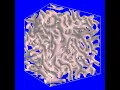 3D simulation of the Gray-Scott model