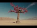 Bad Bunny - WHERE SHE GOES (Official Video)