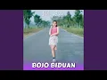 Download Lagu Bojo Biduan