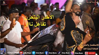 بتحرن بتحرن تفاااعل نااار أفراح بت أبو زبد أب شيبة أغاني سودانية 2023 