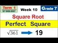 Grade 7 Math Square Root of Perfect Square First Term Term 1 Week 10