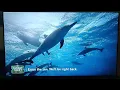 NFL Sunday Ticket on YouTube Enjoy The Zen Screen